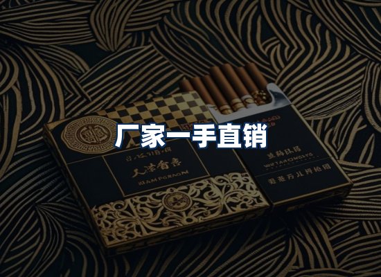 专业团队办公环境
